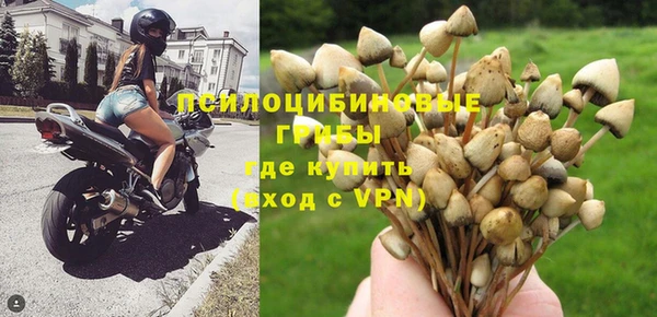 герыч Кедровый