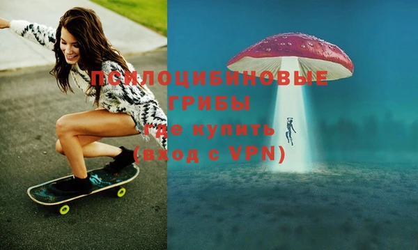 стафф Алзамай