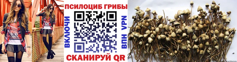 Псилоцибиновые грибы прущие грибы  blacksprut вход  Чехов 